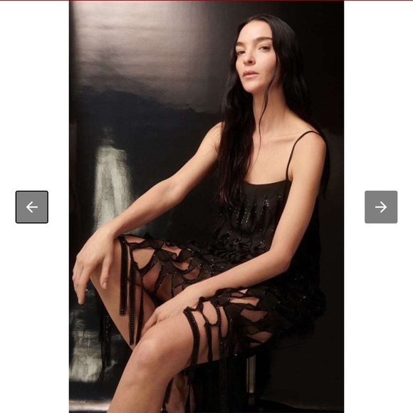 NWT Zara Sequin Beaded Fringe Dress - Picture 3 of 16